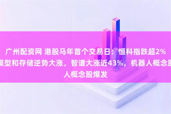 广州配资网 港股马年首个交易日：恒科指跌超2%，大模型和存储逆势大涨，智谱大涨近43%，机器人概念股爆发