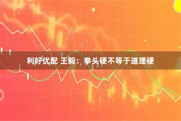 利好优配 王毅：拳头硬不等于道理硬