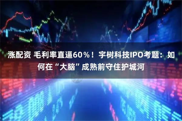 涨配资 毛利率直逼60％！宇树科技IPO考题：如何在“大脑”成熟前守住护城河
