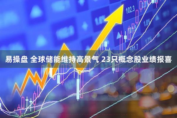 易操盘 全球储能维持高景气 23只概念股业绩报喜