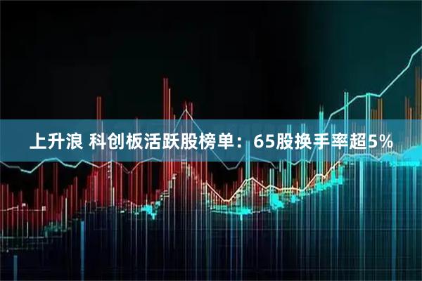 上升浪 科创板活跃股榜单：65股换手率超5%